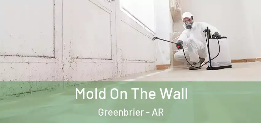  Mold On The Wall Greenbrier - AR