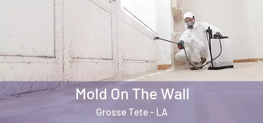  Mold On The Wall Grosse Tete - LA