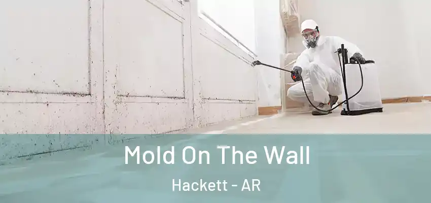  Mold On The Wall Hackett - AR