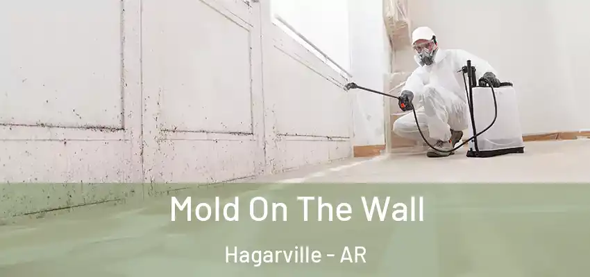  Mold On The Wall Hagarville - AR
