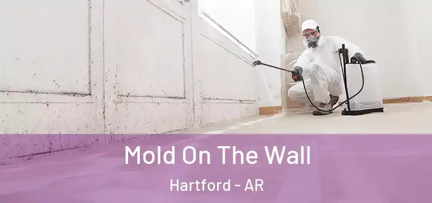  Mold On The Wall Hartford - AR