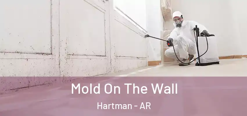  Mold On The Wall Hartman - AR