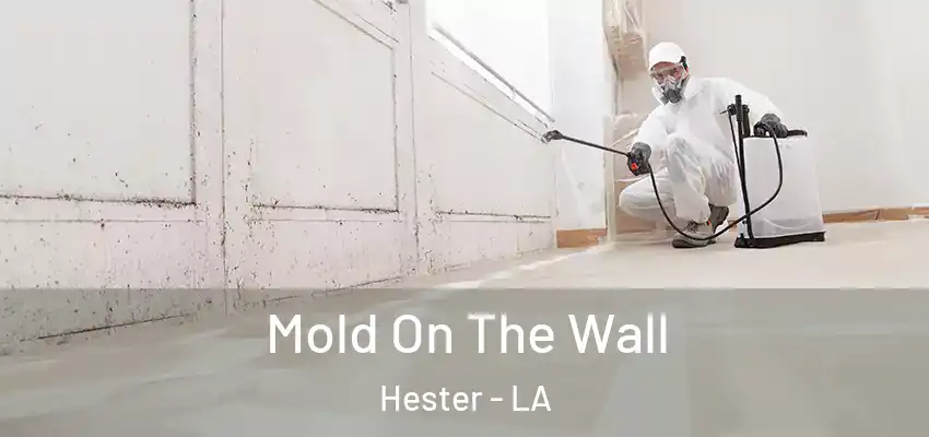  Mold On The Wall Hester - LA