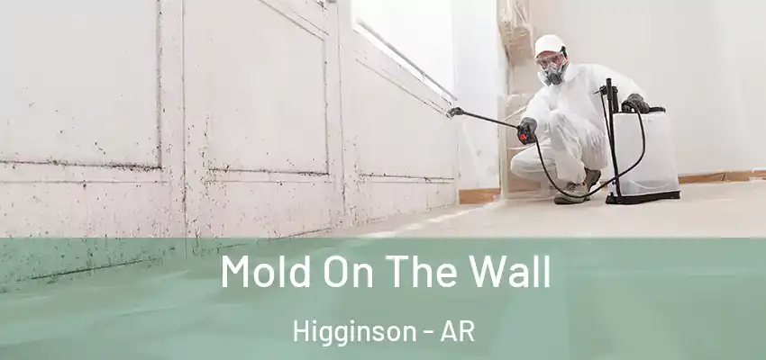 Mold On The Wall Higginson - AR