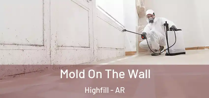 Mold On The Wall Highfill - AR
