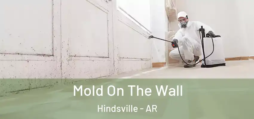  Mold On The Wall Hindsville - AR