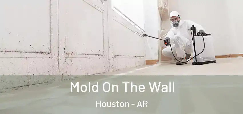  Mold On The Wall Houston - AR