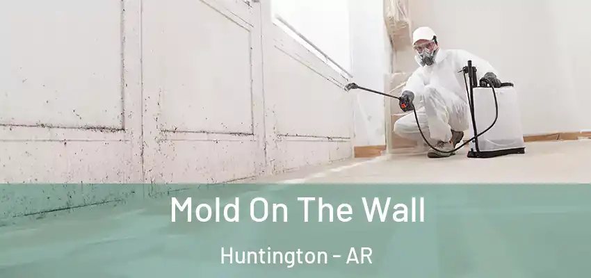  Mold On The Wall Huntington - AR