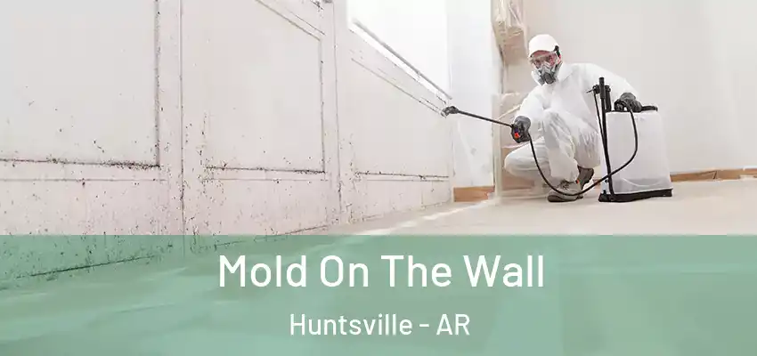  Mold On The Wall Huntsville - AR
