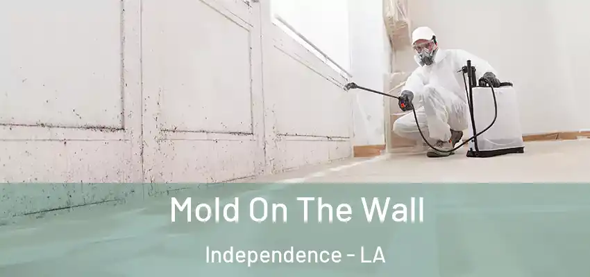  Mold On The Wall Independence - LA