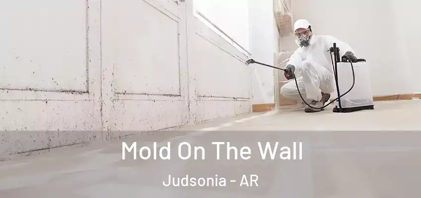  Mold On The Wall Judsonia - AR