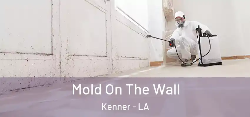  Mold On The Wall Kenner - LA
