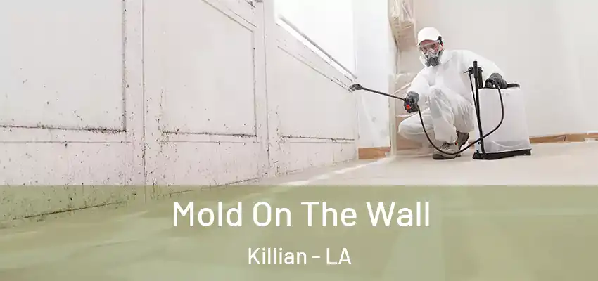  Mold On The Wall Killian - LA