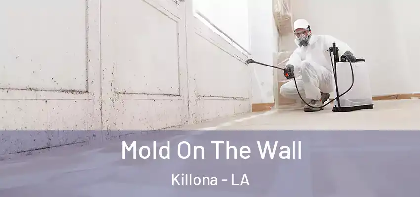  Mold On The Wall Killona - LA