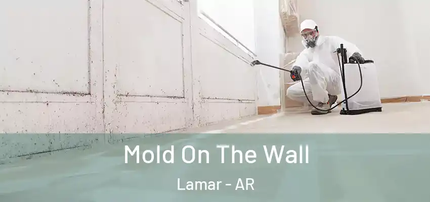  Mold On The Wall Lamar - AR