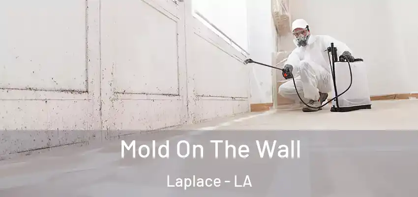  Mold On The Wall Laplace - LA