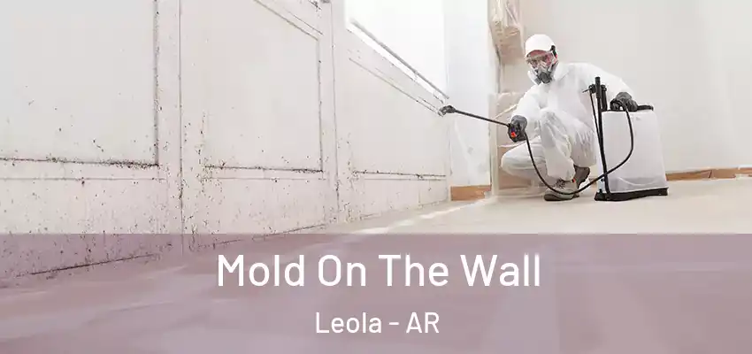  Mold On The Wall Leola - AR