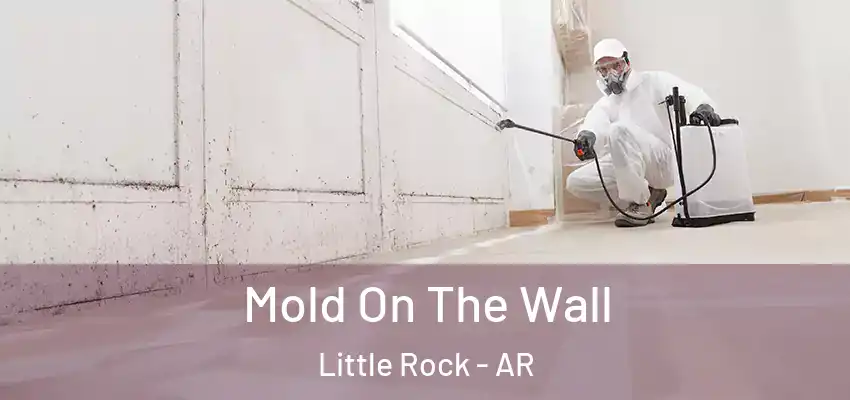  Mold On The Wall Little Rock - AR