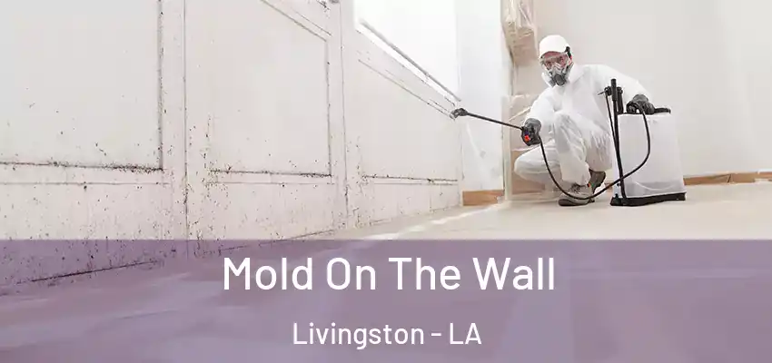  Mold On The Wall Livingston - LA