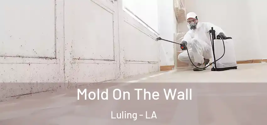  Mold On The Wall Luling - LA