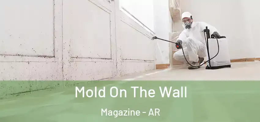  Mold On The Wall Magazine - AR