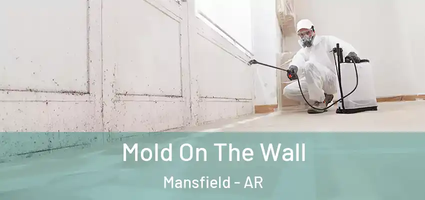 Mold On The Wall Mansfield - AR