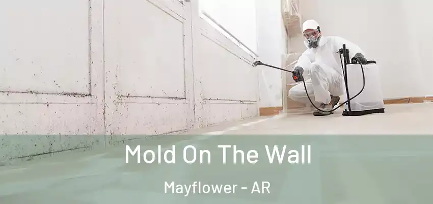  Mold On The Wall Mayflower - AR