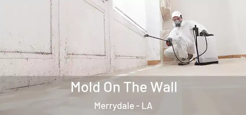  Mold On The Wall Merrydale - LA