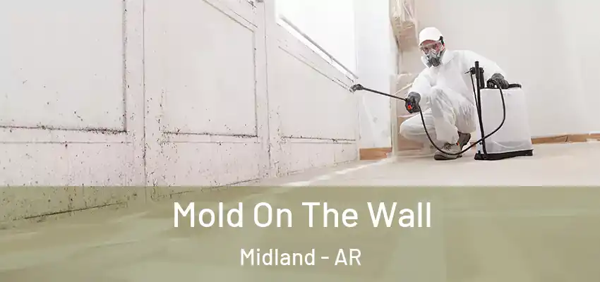  Mold On The Wall Midland - AR