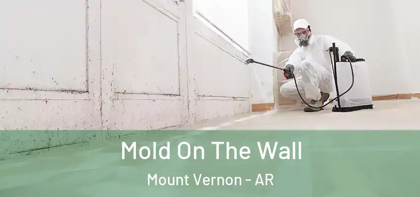  Mold On The Wall Mount Vernon - AR