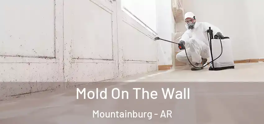  Mold On The Wall Mountainburg - AR