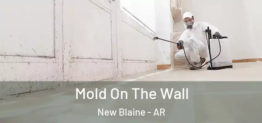  Mold On The Wall New Blaine - AR