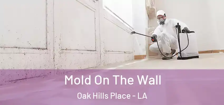 Mold On The Wall Oak Hills Place - LA