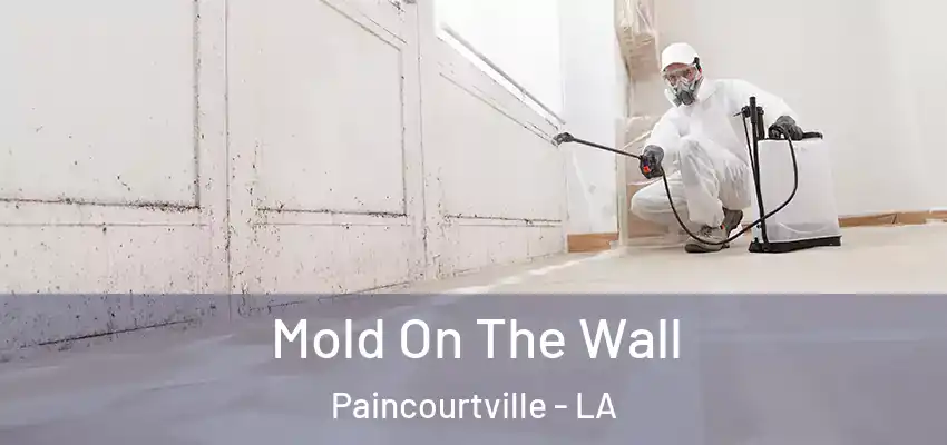  Mold On The Wall Paincourtville - LA