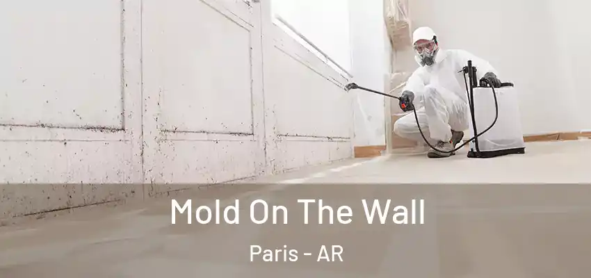  Mold On The Wall Paris - AR