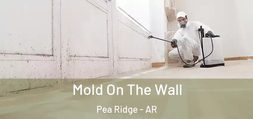  Mold On The Wall Pea Ridge - AR