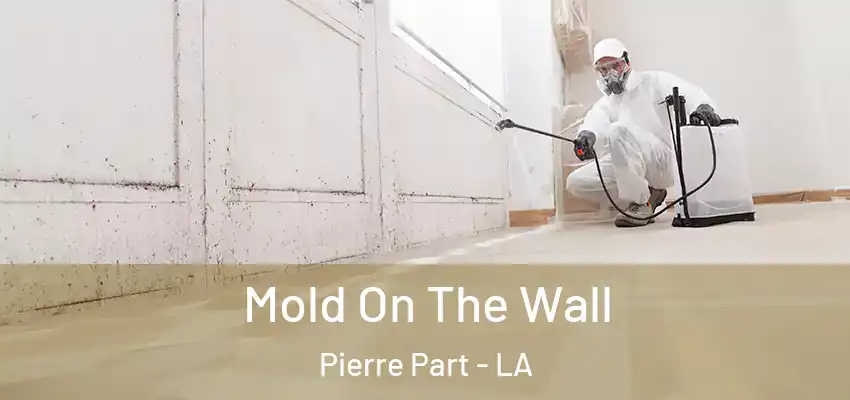  Mold On The Wall Pierre Part - LA