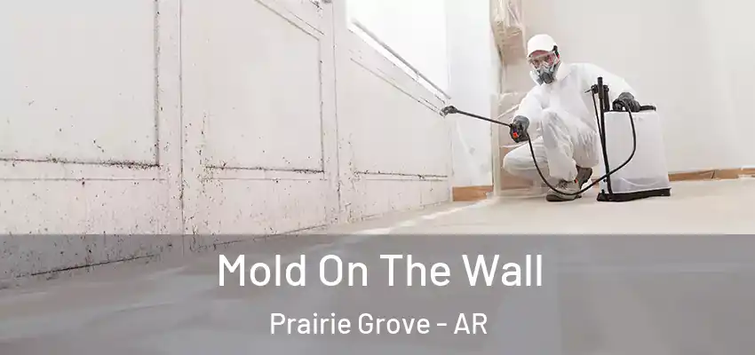  Mold On The Wall Prairie Grove - AR