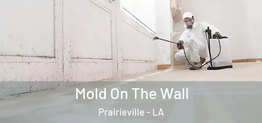  Mold On The Wall Prairieville - LA