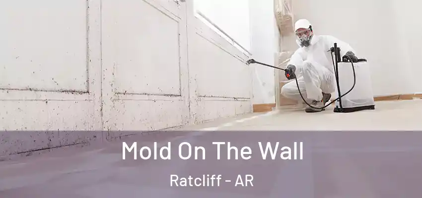 Mold On The Wall Ratcliff - AR