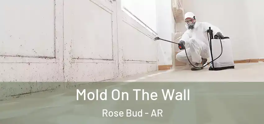  Mold On The Wall Rose Bud - AR
