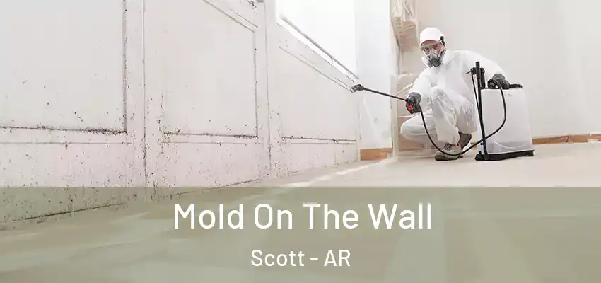  Mold On The Wall Scott - AR