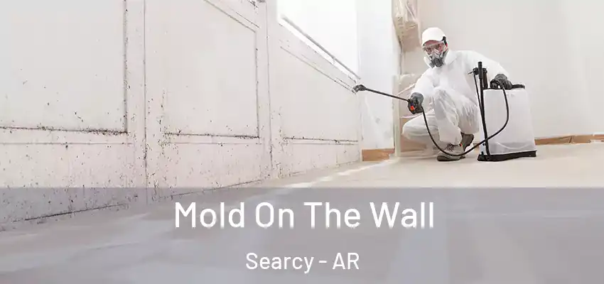  Mold On The Wall Searcy - AR