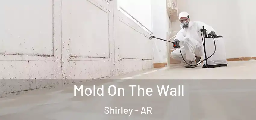  Mold On The Wall Shirley - AR