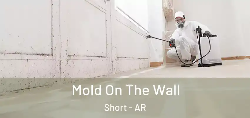 Mold On The Wall Short - AR