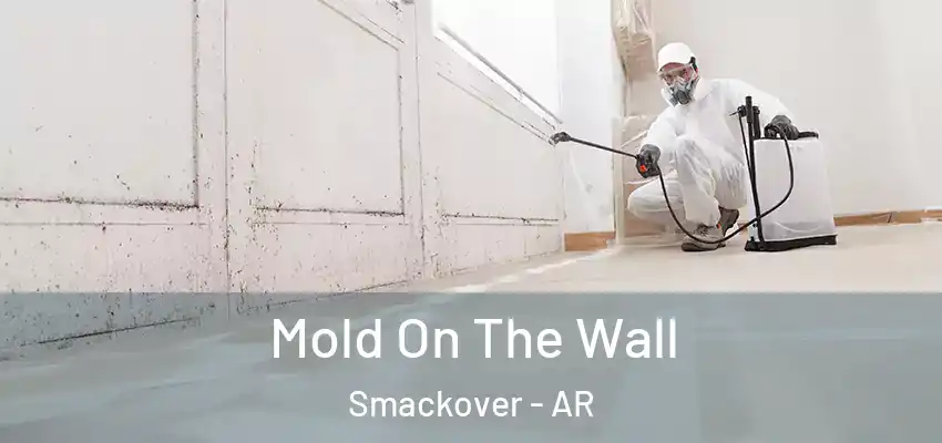  Mold On The Wall Smackover - AR