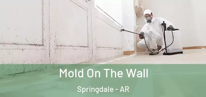  Mold On The Wall Springdale - AR