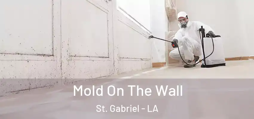  Mold On The Wall St. Gabriel - LA