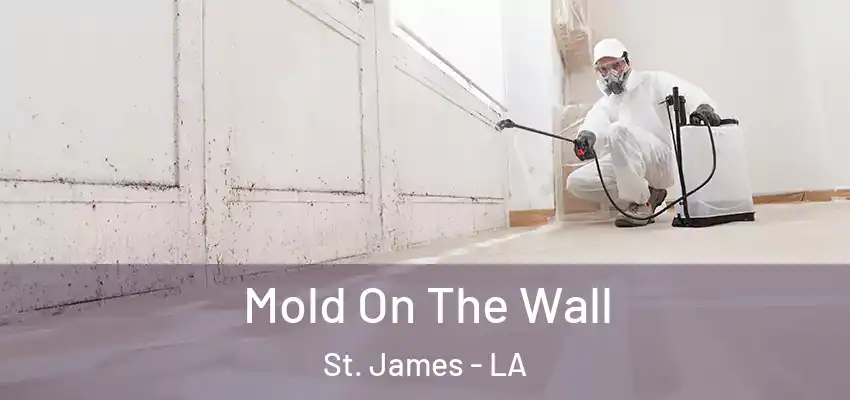  Mold On The Wall St. James - LA