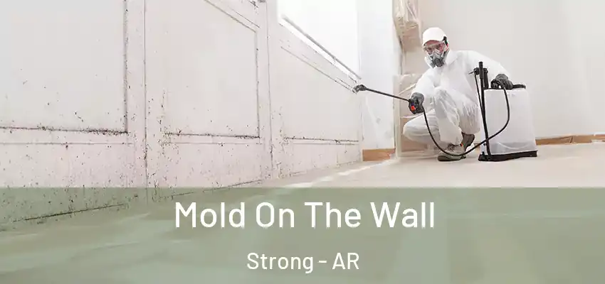  Mold On The Wall Strong - AR
